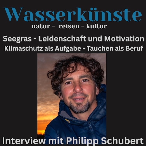 Superheld Seegras – Klimaschützer am Meeresgrund