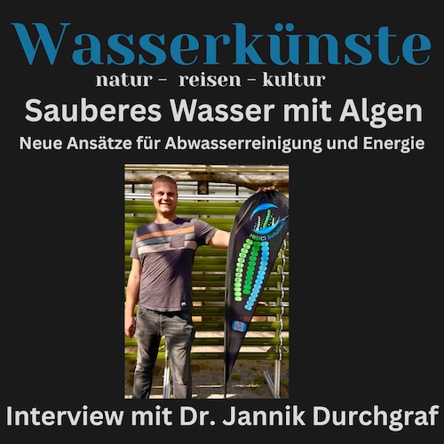 Sauberes Wasser mit Algen